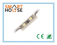 2leds SMD3528 Module